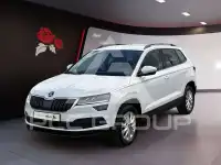 2019 Skoda Karoq