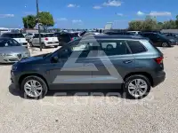 2019 Skoda Karoq