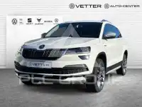 2019 Skoda Karoq