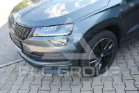 2019 Skoda Karoq