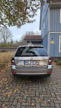 2019 Skoda Octavia