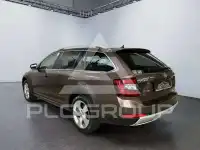2019 Skoda Octavia