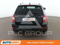 2019 Skoda Octavia