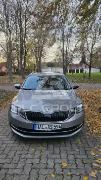 2019 Skoda Octavia