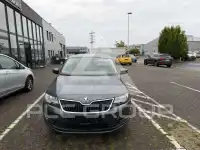 2019 Skoda Rapid