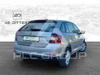 2019 Skoda Rapid