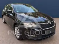 2019 Skoda Rapid