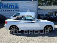 2019 BMW 230