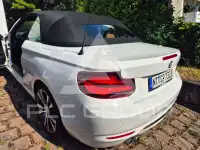2019 BMW 230
