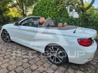 2019 BMW 230