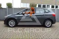 2019 BMW 216
