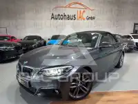 2019 BMW 225