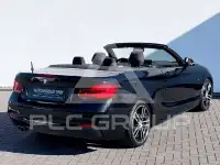 2019 BMW 225