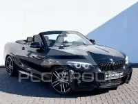 2019 BMW 225