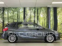 2019 BMW 225
