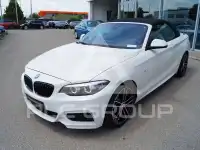 2019 BMW 218