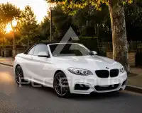 2019 BMW 218