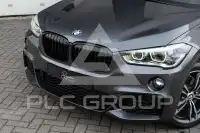 2019 BMW X1