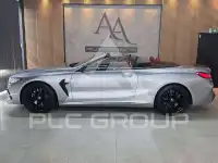 2019 BMW M8