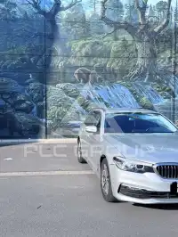 2019 BMW 520