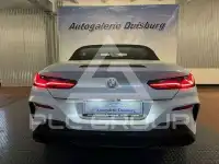 2019 BMW M8