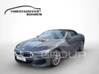 2019 BMW M8