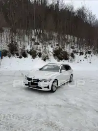 2019 BMW 318