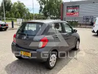 2019 Suzuki Celerio