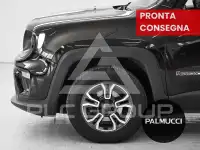 2019 Jeep Renegade