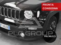 2019 Jeep Renegade