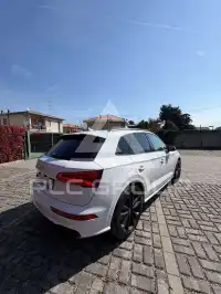 2019 Audi SQ5