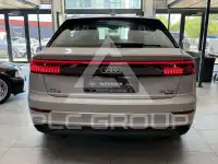 2019 Audi Q8