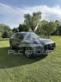 2019 Audi Q8
