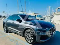 2019 Audi Q8