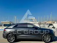 2019 Audi Q8