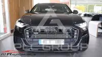 2019 Audi Q8