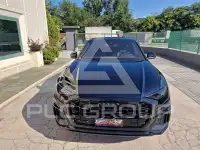 2019 Audi Q8