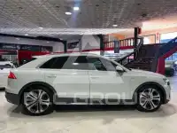2019 Audi Q8