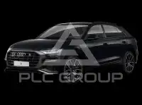 2019 Audi Q8
