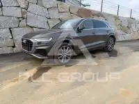 2019 Audi Q8