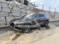 2019 Audi Q8