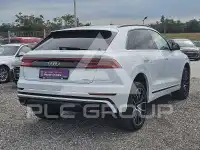2019 Audi Q8