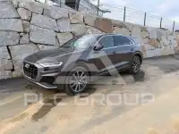 2019 Audi Q8