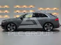 2019 Audi Q8