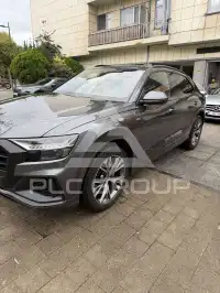2019 Audi Q8