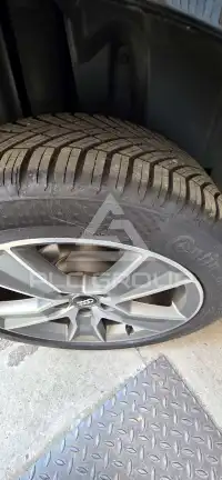 2019 Audi Q2