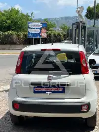 2019 Fiat Panda