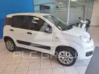 2019 Fiat Panda