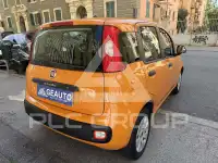2019 Fiat Panda