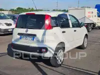 2019 Fiat Panda
